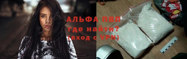 эйфоретик Ладушкин