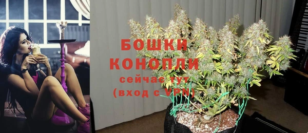 эйфоретик Ладушкин