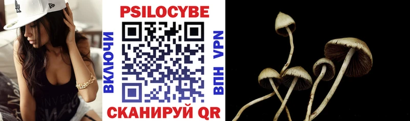 Псилоцибиновые грибы Psilocybine cubensis KRAKEN ONION Сусуман